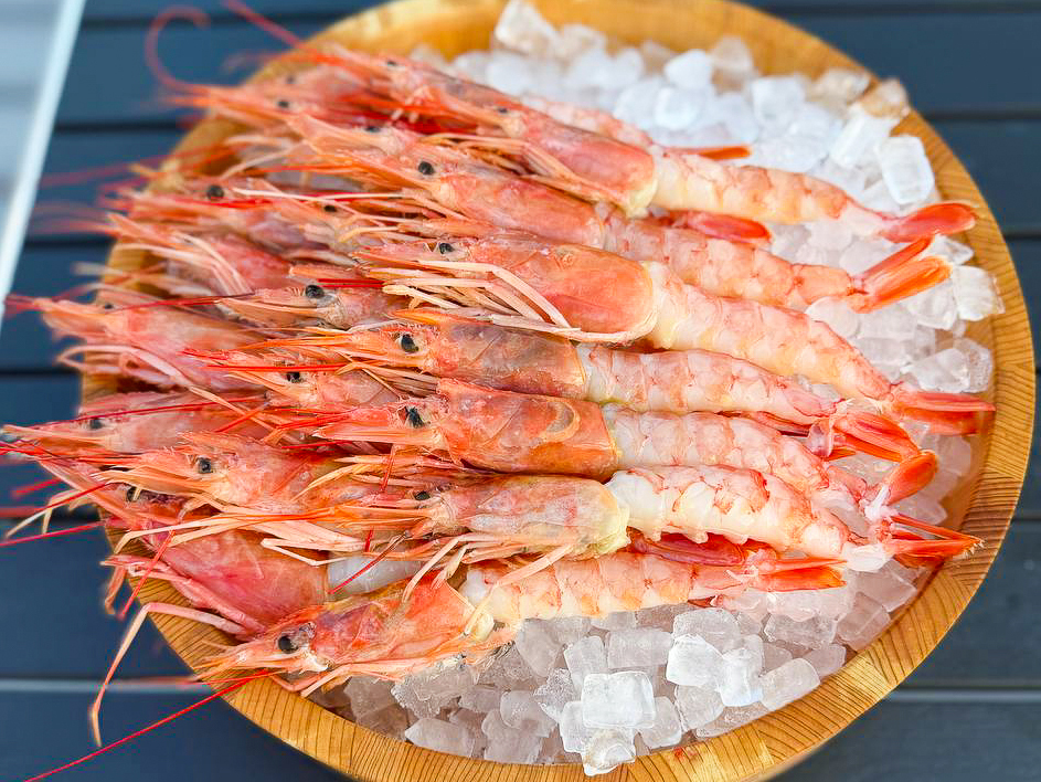 赤エビ刺身 or 焼